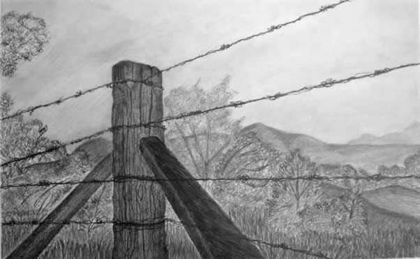 Fence Post Drawing Fence Post Drawing